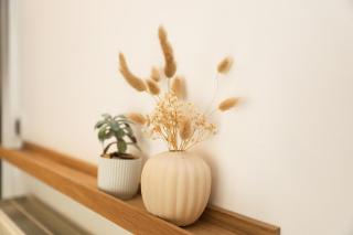 Entre lac et montagne - Appartement cosy à Evian proche des thermes - 3