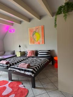 Villa Kunterbunt 3 Nähe Strasbourg Europapark - 5