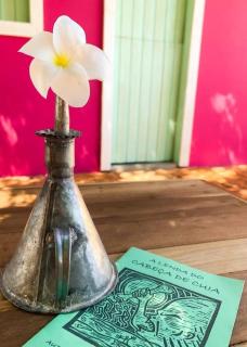 Villa Borogodó Barra Grande- Suite azul - 5