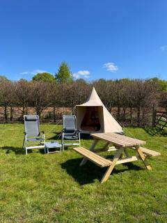 Erve Zonnehoeve Minicamping en Wijngaard - Vorden - 2