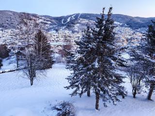 Vue lac, superbe appart chaleureux & reposant - 4