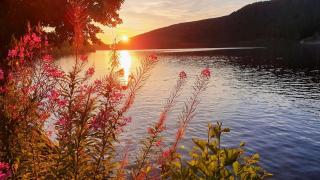 Vue lac, superbe appart chaleureux & reposant - 1