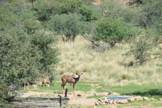 Karibu Self-Catering Unit 1 - 2