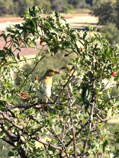 Karibu Self-Catering Unit 1 - 1