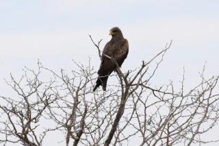 Karibu Self-Catering Unit 1 - 6