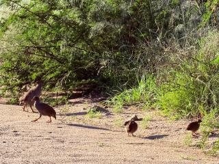 Karibu Self-Catering Unit 1 - 7