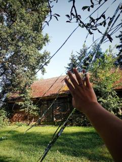 Agroturystyka Teofilówka - 1