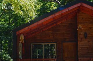 Cafeteria y Cabañas Eluney - Cohigue - 8