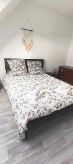 La Brocéliande enchantée - Iffendic - 5