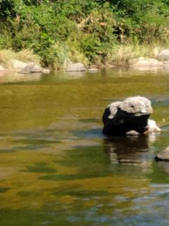Casa en balneario Mayu Sumaj en cercanias de Villa Carlos Paz - 5