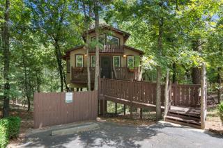 The Grand Treehouse Resort - 1