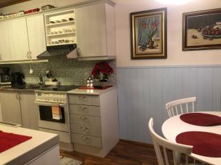 Arctic Circle Apartment - 9