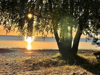 Comfy apartment with a balcony by the sea - 5