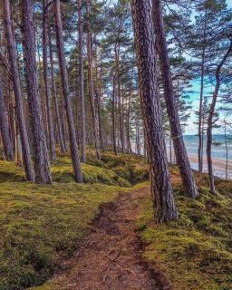 Comfy apartment with a balcony by the sea - 3