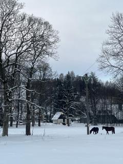 Ubytování U Potoka - 9