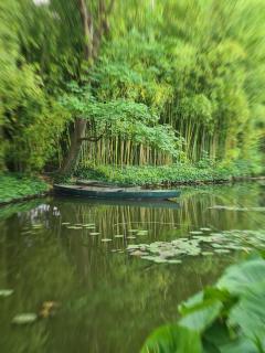 When a dream comes reality in Vernon - Giverny - 1