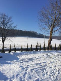 Domki całoroczne ,,DOLINA BIESZCZAD" - Polańczyk - 7