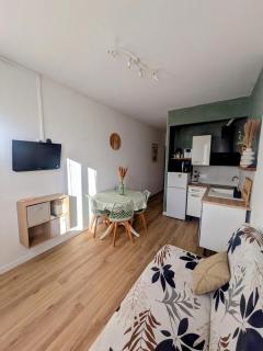 LE LOGIS, T2 au pied de la plage, Climatisation - 0