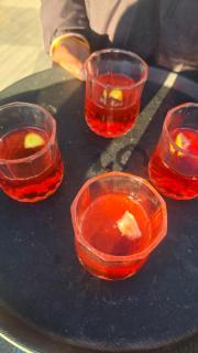 shivas solace by sam valley - 6