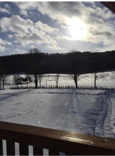 Domki całoroczne ,,DOLINA BIESZCZAD" - Polańczyk - 9