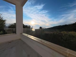 the gray house 2024 - 1