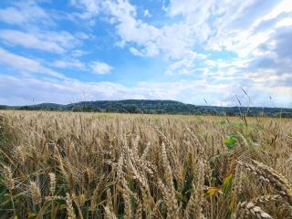 Dare to dream in this charming apartment Vernon - Giverny ! - 7