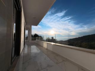 the gray house 2024 - 7