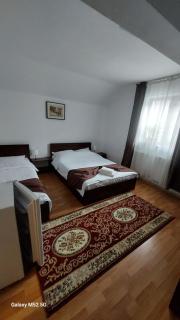 CASA RYANA SINAIA - 7