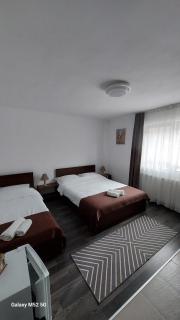 CASA RYANA SINAIA - 6