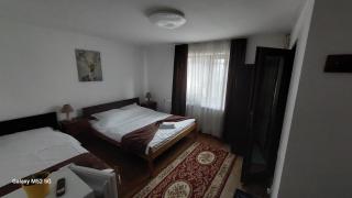 CASA RYANA SINAIA - 5