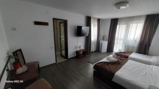 CASA RYANA SINAIA - 8