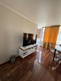 Departamento Providencia centrico - 4