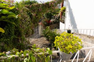 La Palmera Hostel - 3