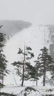 DivčiNova LunaSol - 5