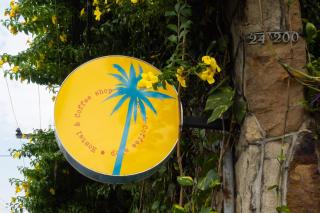 La Palmera Hostel - 5