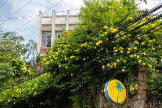 La Palmera Hostel - 7