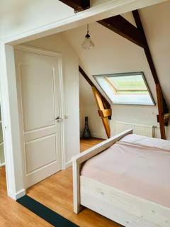 De Skoalle Nijland - 5