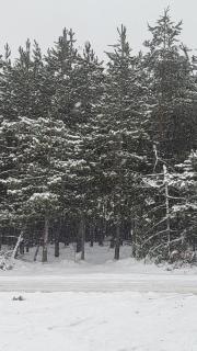 DivčiNova LunaSol - 7