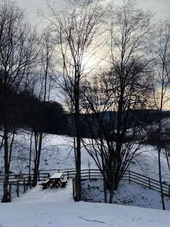 Valley House Cabana cu priveliste de vis - 4