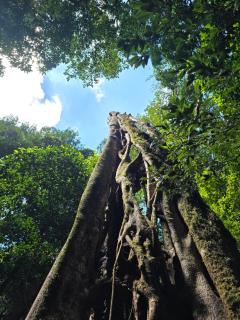Cabaña de montaña Queca - 2