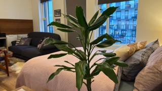 Ocean View Suite near Sky Lagoon - 9