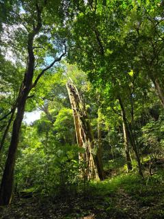 Cabaña de montaña Queca - 9