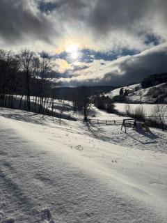 Valley House Cabana cu priveliste de vis - 9