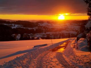 Ferienwohnungen Christa Grabmeier - 9