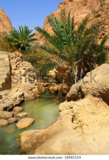 appartement Tozeur médina - 1