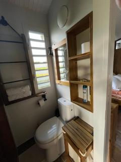 Le petit Nénuphar - 1