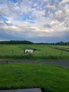 La petite maison dans la prairie - 9
