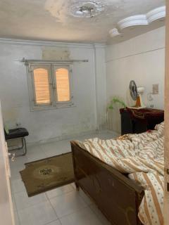 Simple gem in port said - 8