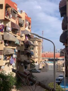 Simple gem in port said - 5