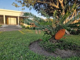 Ka Nicita - Beach house with pool - 6